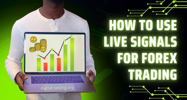 Live signals for Forex