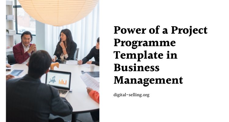 Project programme template