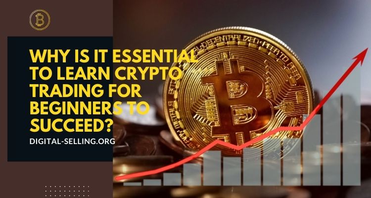 Learn crypto trading for beginners